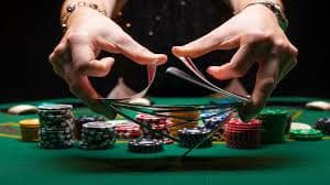 Free-spin round — scatter trigger and re-spin multiplier display togel4d wap Bikini Paradise free-spin round interface showing scatter trigger and multiplier stacking